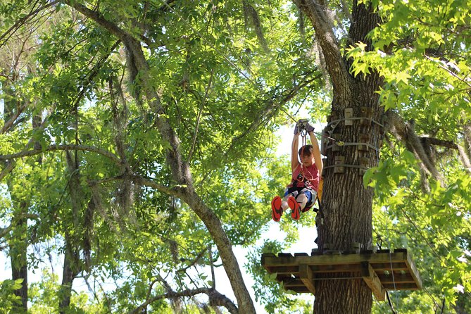 Zipline Adventure through Tuscawilla Park - Is the Two-and-a-Half-Hour Visit Good Value?