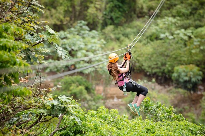 Zipline Adventure Tour - Eight ziplines through the treetops