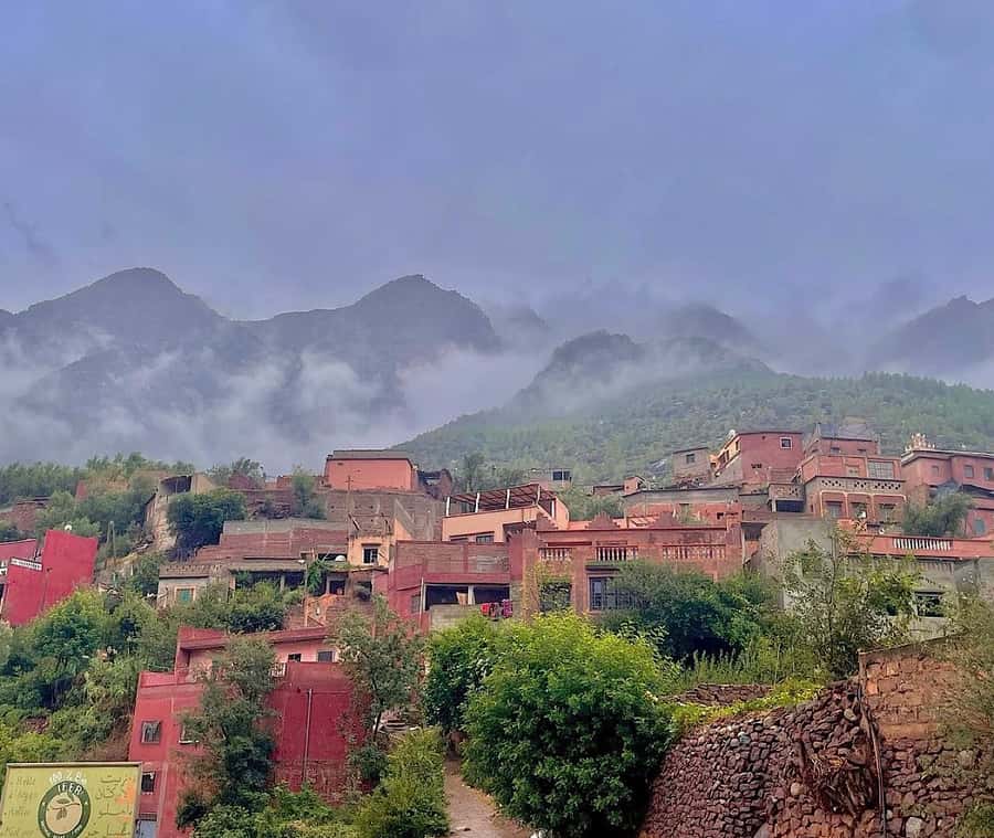 Zipline and Camel Adventures in Marrakech - Is $62 a fair price?