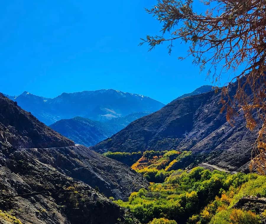 Zipline and Camel Adventures in Marrakech - Berber villages and the argan cooperative