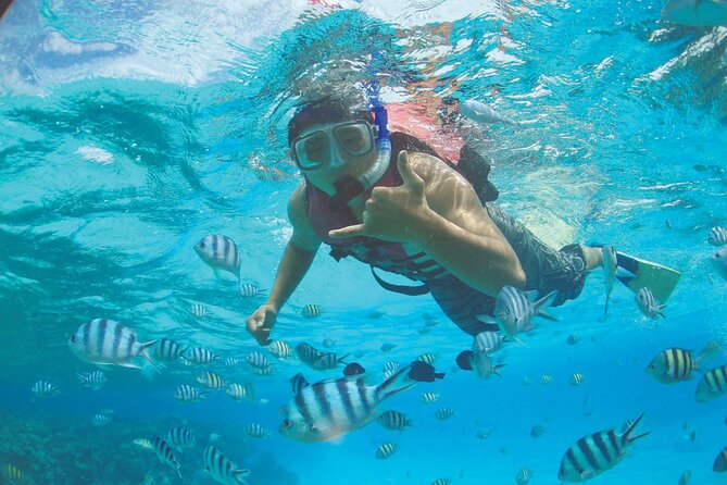 Zipline + Beach Package - Snorkeling with included equipment