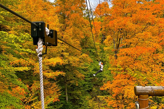 Zipline Canopy Activity Admission at Bristol Mountain - Four bridges add a slower challenge
