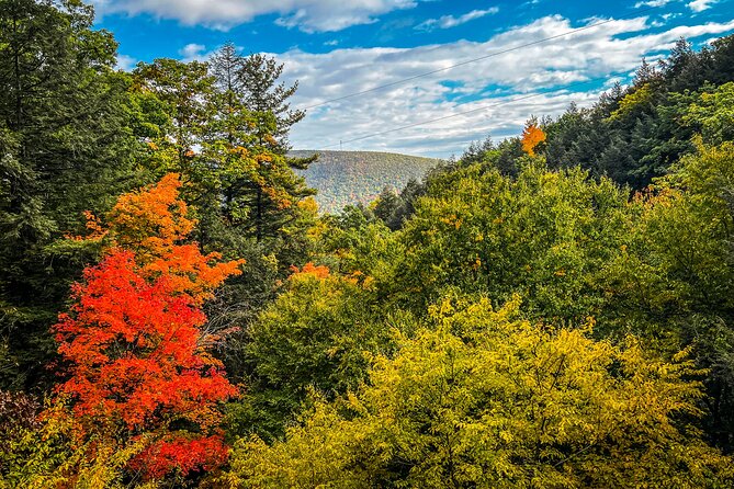 Zipline Canopy Activity Admission at Bristol Mountain - Physical demands and what to consider