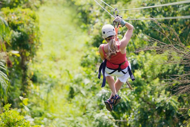 Zipline Canopy Tour & Tortuguero Canal Boat tour. Shore Excursion from Limon - Key points at a glance