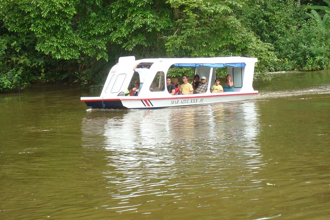 Zipline Canopy Tour & Tortuguero Canal Boat tour. Shore Excursion from Limon - A port-day plan with real variety