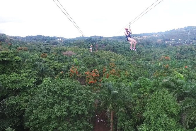Zipline Canopy Tour with Transport from San Juan - The essentials at a glance