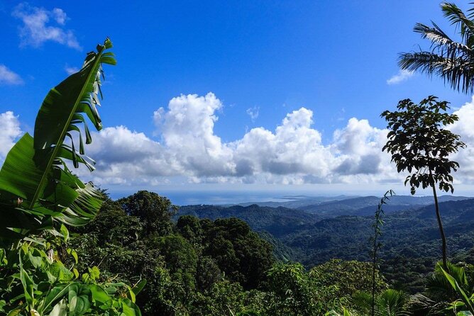Zipline Canopy Tour with Transport from San Juan - Is $185 a fair price?
