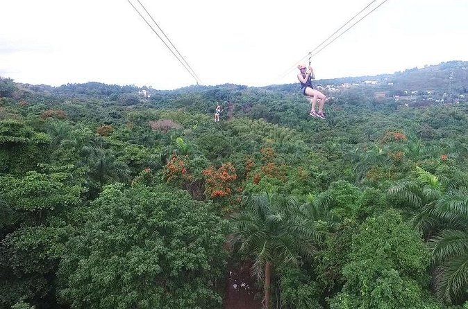 Zipline Canopy Tour with Transport from San Juan - What the strongest praise gets right