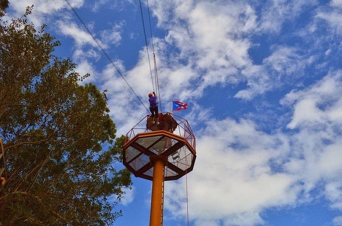 Zipline Canopy Tour with Transport from San Juan - Should you book this zipline tour?