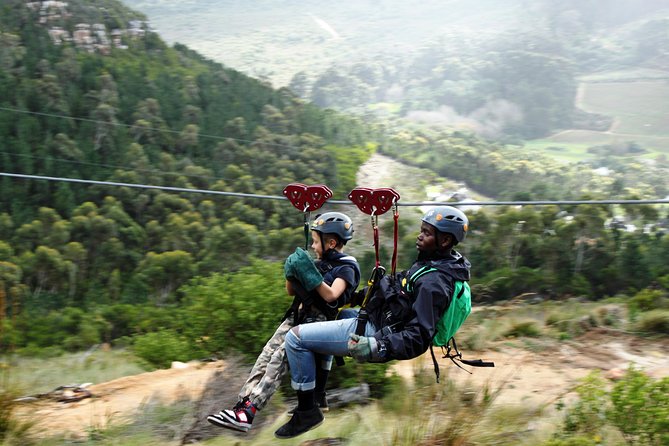 Zipline Cape Town - From Foot of Table Mountain Reserve - Key points to know before booking