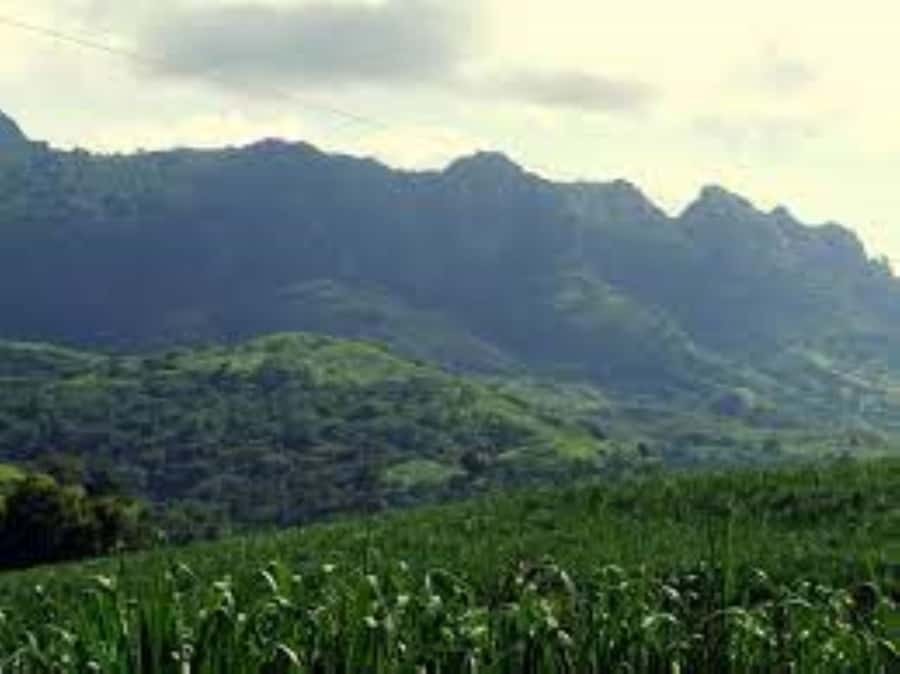 Zipline, Cave, Seaview & Mud Spa Tour with Lunch Included - Lunch is useful, but do not expect a long meal
