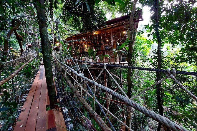 Zipline & Coffee with Waterfall Views in Koh Samui - Practical timing and weather advice