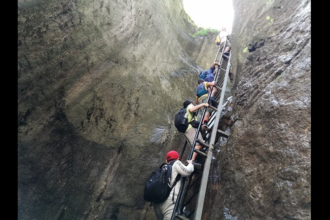 Zipline, Hiking and Canyon Crossing Expedition - From Bucharest to the Carpathian Mountains