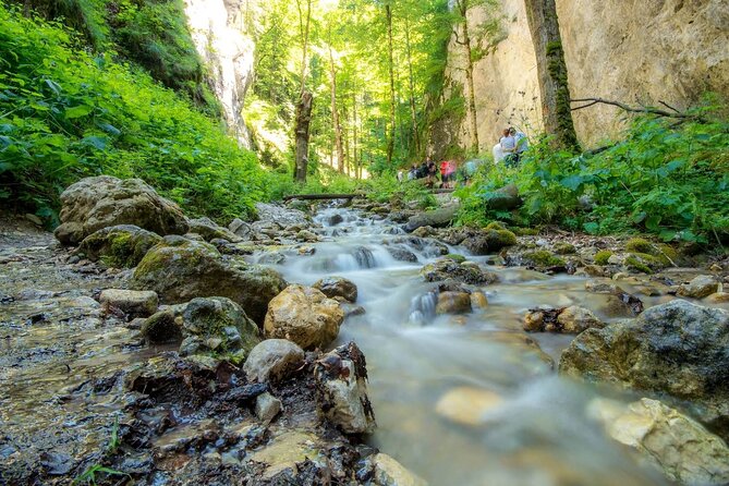 Zipline, Hiking and Canyon Crossing Expedition - Hiking for about two hours near the mountains