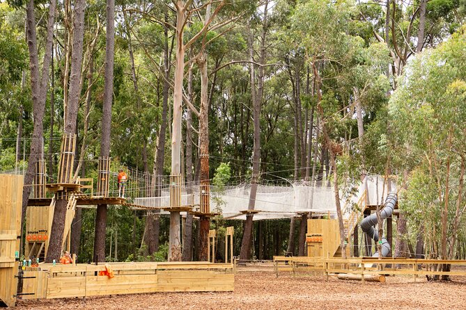 Zipline over the Heysen Trail & Through the Pines of Kuitpo - Entering Kuitpo Forest near the Heysen Trail