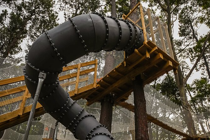 Zipline over the Heysen Trail & Through the Pines of Kuitpo - Four courses and 59 obstacles in the trees