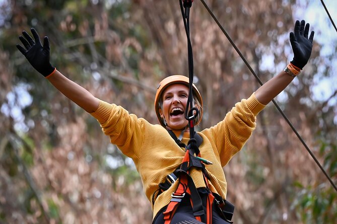Zipline over the Heysen Trail & Through the Pines of Kuitpo - Ziplines and the Tarzan swing