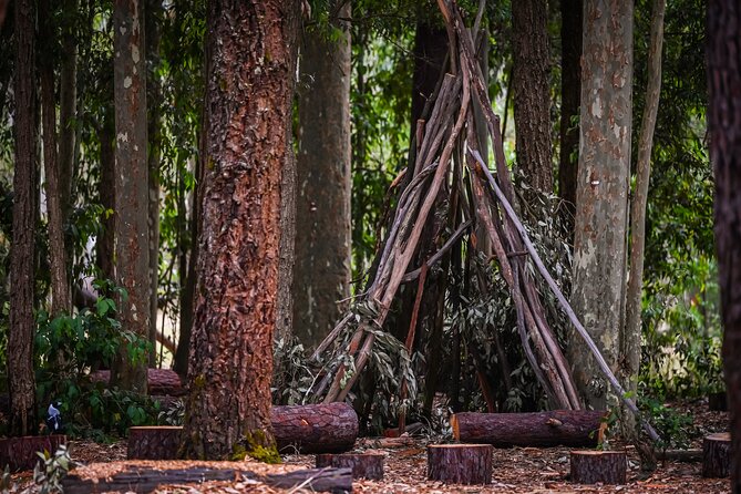 Zipline over the Heysen Trail & Through the Pines of Kuitpo - Weather and planning your visit