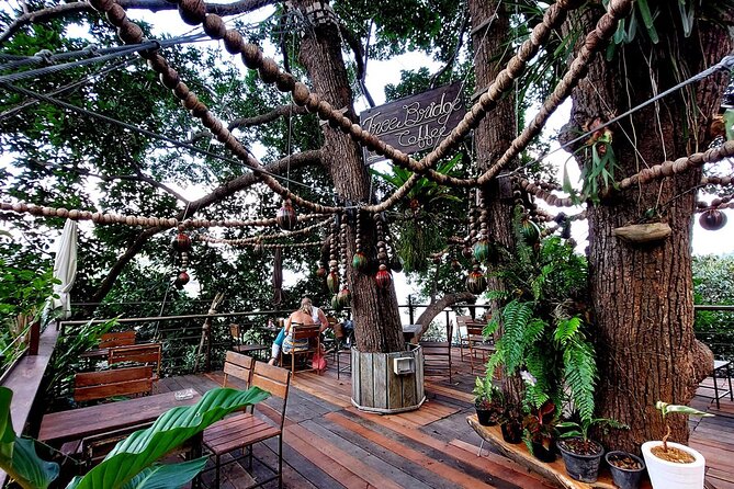 Zipline Ride on Koh Samui - Photos, videos, and the hands-free advantage