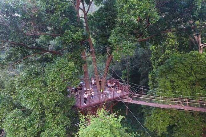 Zipline Ride on Koh Samui - How much value do you get for $74.76?