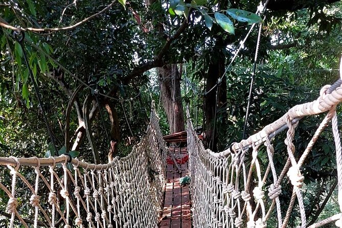 Zipline Ride on Koh Samui - Who will enjoy this most?