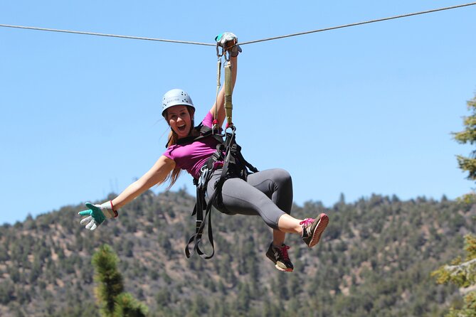 Zipline Tour - 9 high-speed ziplines & fun suspension bridge - Key Things to Know Before You Book