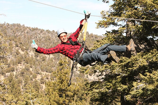 Zipline Tour - 9 high-speed ziplines & fun suspension bridge - The Suspension Bridge and Johnson Valley Views