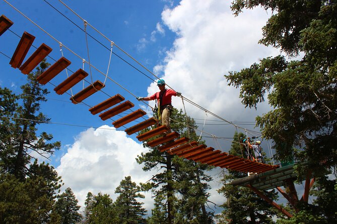 Zipline Tour - 9 high-speed ziplines & fun suspension bridge - Weather, Timing, and Cancellations