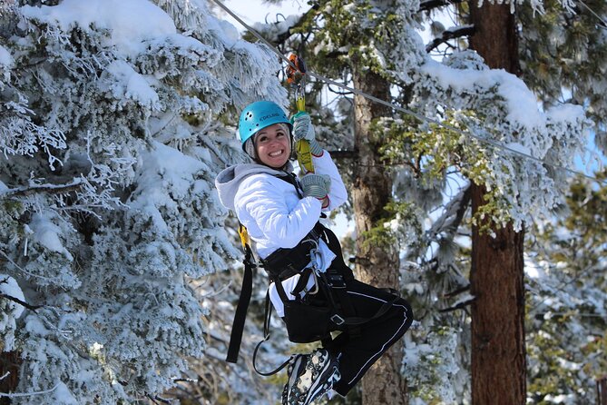 Zipline Tour - 9 high-speed ziplines & fun suspension bridge - Who Will Enjoy This Big Bear Tour Most?