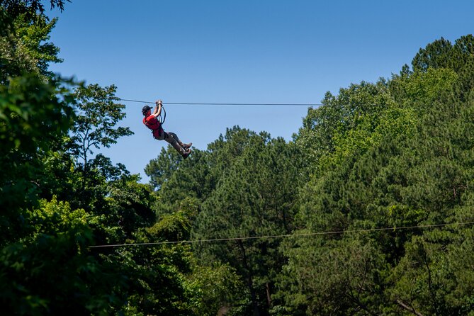 Ziplining and Climbing at The Adventure Park at Virginia Aquarium - A treetop park between the aquarium buildings