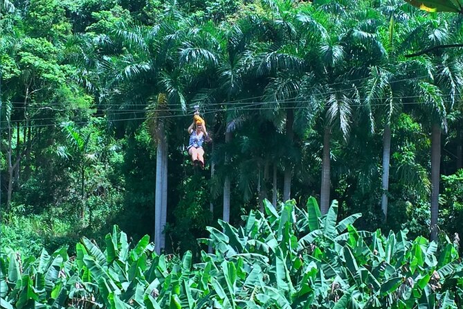 Ziplining at the Rainforest in Puerto Rico - Choosing the morning or afternoon session