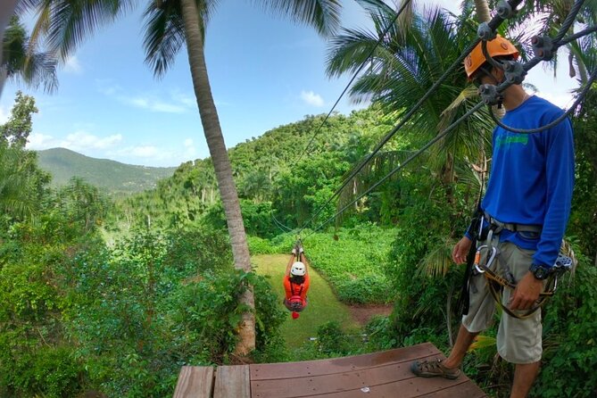Ziplining at the Rainforest in Puerto Rico - Is $149 a fair price?