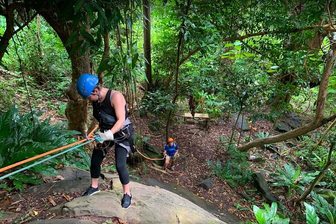 Ziplining at the Rainforest in Puerto Rico - Who will enjoy this most?