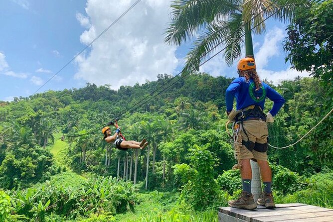 Ziplining at the Rainforest in Puerto Rico - What to bring and what to expect