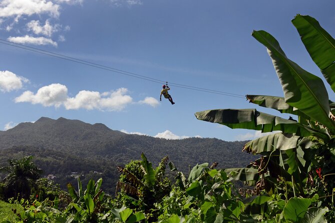 Ziplining at the Rainforest in Puerto Rico - The rappel and hanging bridge add variety