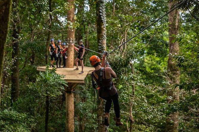 Ziplining Cape Tribulation with Treetops Adventures - Is $104 a fair price?