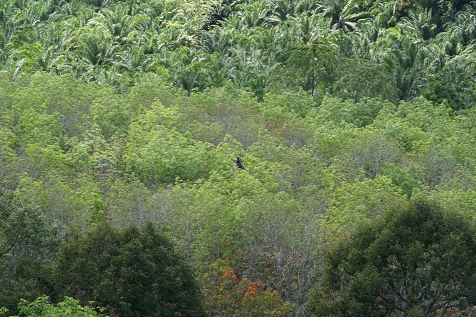 Zone A + B PACKAGE Zipline Adventure Experience - Guides, safety, and the small-group advantage
